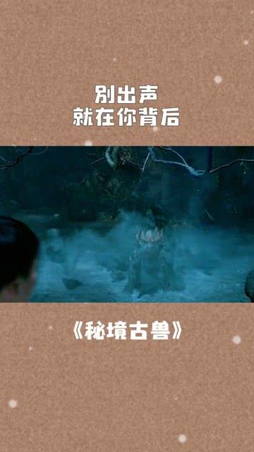 郑州公布2024年春节燃放烟花爆竹时间地点